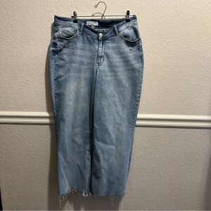 Judy Blue Straight Fit Size 16W Jeans